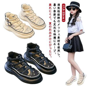 K[YT_ ̎q LbY qC ėp y ₷ ʋC bV EH[LOT_ ~ ɂ ɂȂ JWA qp w w AEghA  U