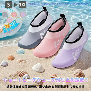 o r[`T_ Y fB[X ʋCQ ~ߐ݌v z ܂肽݉\ y }V[Y C v[ K U sp 5FWJ (p[v/sN/O[/Cg