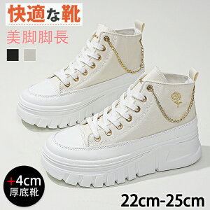 nCJbgXj[J[ fB[X C ؍ [XAbvXj[J[ +4cm C `F[t ₷  킢 JWA rr ȂV[Y {[\[ 