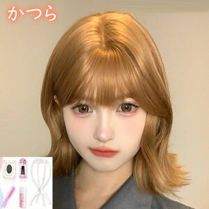 EBbO V[g wAEBbO EBbO Zbg fB[X p R[fACe  V[g wA  J[[wA lbg i` A  L[g t wbh Jo