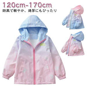 WPbg EChu[J[ WjA ̎q LbY q AE^[ t[ht tH ʊw w w Z Wp[ JWA   n h  Vv 