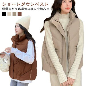 _ExXg ȃxXg fB[X HD H ~ V[g  X^hJ[ h ۉ JWA ꂢ  傫TCY 20 30  n Vv ʋ ʊw 