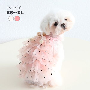 Si|Cg5{ s[X hX t 킢 t  ^p ̎q ybg o L~s[X vZX OhbO  hbOEFA ybgEFA U