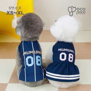 Si|Cg5{ ĕ hbNEFA ^Ngbv s[X Vv JWA X|JW X|[c RX`[ jtH[ yAbN 낢  IV Ȃ 킢