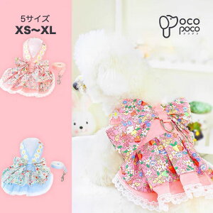 Si|Cg5{  n[lX s[X ^  p    킢 lC JCC  EFAn[lX }WbNe[v ̎q j̎q v[g CX