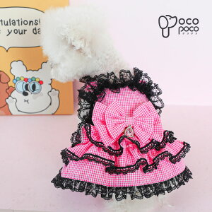 Si|Cg5{  t  ^p s[X t ̎q ybg o L~\[ { 킢 hbOEFA ybgEFA U ybgpXJ[g 