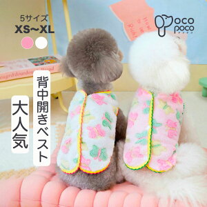 Si|Cg5{ H ~ xXg ybgEGA g  ^Ngbv Ȃ _炩  ӂӂ h pW} [EFA ̕ h΍ ̎q j̎q