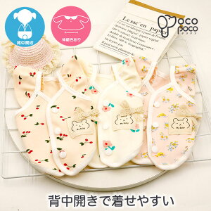 Si|Cg5{ ĕ ybgEFA hbOEFA ^Ngbv xXg wJ Ȃ ₷ t ̕ L OF IV ԕ ̎q _炩 ʋC Ȏ 