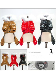 sIIt@[t[ht Jt_ER[gybg _ER[g _E WPbg hbOEFA ȁ@N t[ht R[g iC h   N