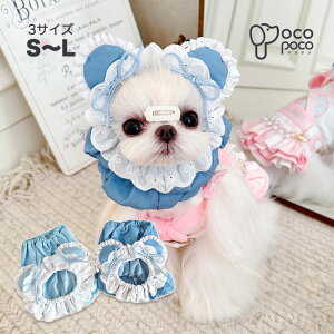 Si|Cg5{ybgp Xk[h t[hJo[ fj h~ Jo[ HXk[h H U 킢   p Lp t H h ybg   h~