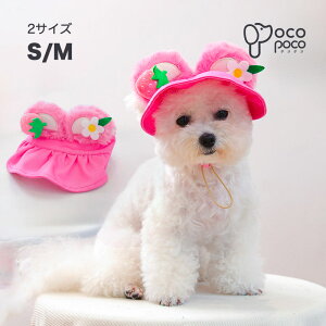 Si|Cg5{  Xq ^  j̎q JCC hbOEFA hbO Lbv   pi EFA Oh~ ăoeh~  Xq ybg 蕨 