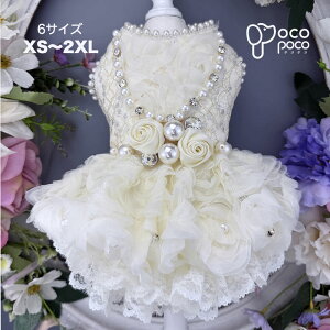 Si|Cg5{ I[V[YhX ^ ^ ^ EFfBOhX p[eB[hX s[X  Pl vZX  i j OhbO ߑ 