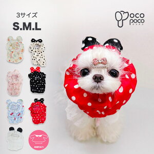 Si|Cg5{ybgp Xk[h t[hJo[h~ Jo[ HXk[h H U 킢   p Lp t H h ybg   h~