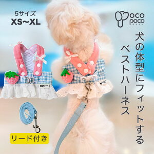 Si|Cg5{ n[lX xXg wJ    킢 lC   EFAn[lX MK`FbN Ȏ ybgEFA ̎q j̎q v[g CX