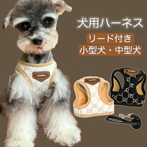 Si|Cg5{ n[lX s[X xXg wJ    킢 lC   EFAn[lX fj ȎybgEFA ̎q j̎q v[g CX