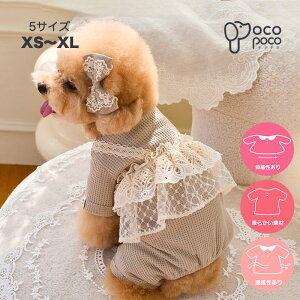 Si|Cg5{̕ Ȃ t hbOEFA yAbN Jo[I[ Tybg qm Lk ₷  IV іh~ ^ ^ j̎q ̎q C