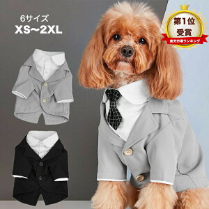 Si|Cg5{LO1ʌ X[c ^LV[h WPbg d˒ EGfBO 畞 lN^C  tH[} OhbO OJ j̎q OB LO j