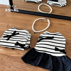 Si|Cg5{new!  ̕ s[X Jbg\[ tVc  킢 Lk lC   ybgEFA ̎q j̎q v[g CX^f xs s m l xl gC