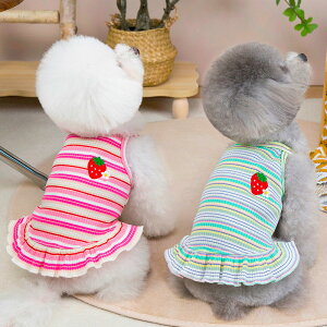 Si|Cg5{̕ t  s[X L~\[    킢  ₷ ̎q j̎q uh LkQ іh~ UEFA yAbN C