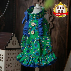 Si|Cg5{ ĕ s[X t[vgs[X t    킢  ₷ ̎q j̎q uh  іh~ UEFA C