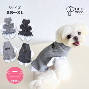 Si|Cg5{   Jbg\[ ^ H~ C[h d˒ u҂ ^[glbN t [X 킢 h  L 킢 Vv