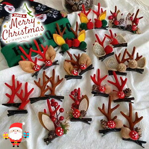 2ZbgNX}X giJC J`[V T^ wAs  LbY qǂ q wA[ANZT[ p[eB[ ob^ ̎q l fB[X  wANbv