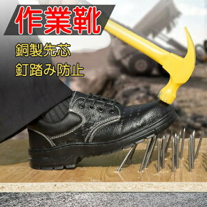 SC ƌC Z[teB[V[Y Xj[J[ Z[teB[V[Y EH[LO V[Y ɂ |c ܐی X|[cV[Y [Jbgɂ  SV