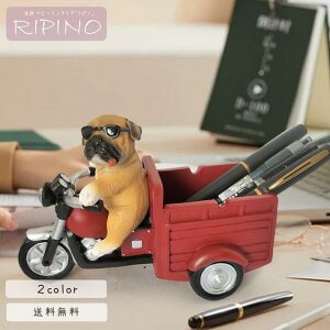 y   킢  y M RX^h KlX^h   [  fXN CeA k i` 蕨 Mtg v[g 