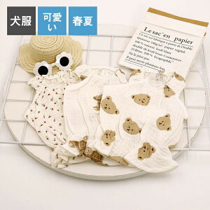   t ^ ybgEFA CX^f  V[X[ jAX ؍ U Jbg\[ hbOEFA TVc L~\[ іh~ ܂ ybg L p y