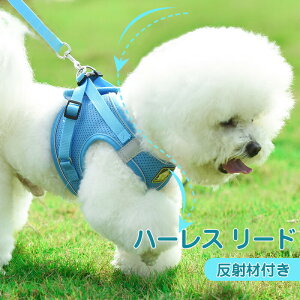 pn[lX [hZbg ybgp [V p  ˍޕt  xXg ^ ^ U o| ʗp Ckp DOG hbOEFA hbOEGA