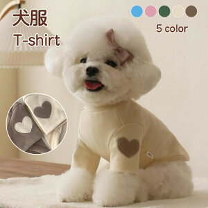    n[g  t rɃn[g T-Vc i`J[ hbOEFA  ybg  gCv[h ` ؍  ̕ t H ~ t