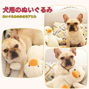  @ybgߋ ʂ o@V _炩 ybgpi  ybgpi   f^PA ybgpi@uځ@ށ@@n ⏕ߋ