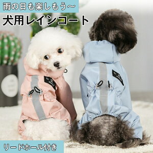   ^ pCR[g h h |` t[ht ^ ^ ~j`A_bNX  Lp ybg y K  J tďHΉ