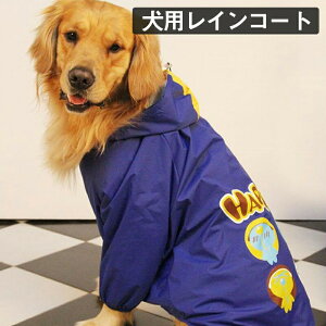 hbOEFA CJo[  ybgp CR[g pCR[g ^ ^ J  J o U ybgpi t[ht