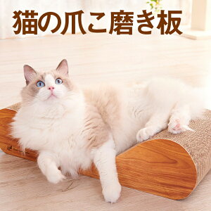 ܂Ƃ ܌ L xbh \t@ ߂Ƃ _{[ i{[ KKXNb`[ XNb`[ ~[ GCNGCc  CeA  ܂ ؖڒ 2F