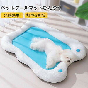 Ђ}bg p}bg  ybg}bg ~    XgX ݑς {̂ }bg ΍ u₩ 薰 [֗ @\ ~ ybgnEX