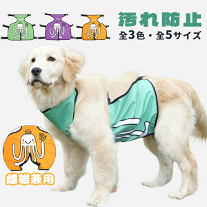 Xbgu͂܂ ͂܂  p D悯Gv t h~ D͂˖h~ ʋC  {fB[EH[}[  [΍ VjA ps[   