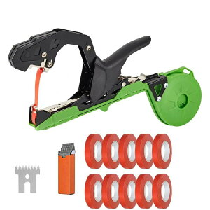 |pU@ e[vc[ A}2025NVf|p U @ 茋c[ ƒp Ae[v@ ʎ zb`LX g}g LE ؃O