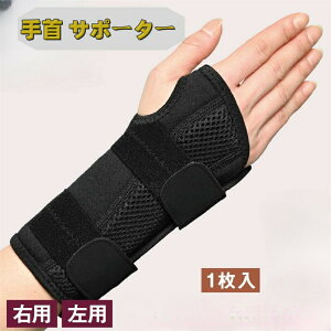  T|[^[ Œ XgT|[^[ ŒT|[^[ X|[c ItBX p\R X}[gtH Ǝ Lb` 퐶p ی d J h~ ew w p ejX wȂ j