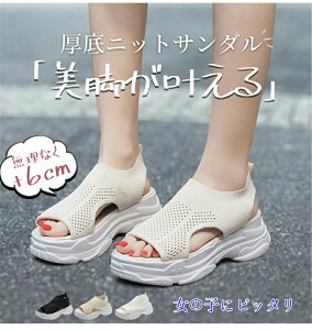 T_ fB[X T_ bVT_ r[`T_vXgbv fB[X V[Y Xj[J[ ʋC r EH[LOV[Y wlCVv JWA