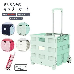 L[J[g ܂肽 y  t^t ω׏d25kg/35kg RpNg 2փLX^[t  L[ J[g ReiJ[g ܂ݑ ו^ JS  ^ ܂݃{bN