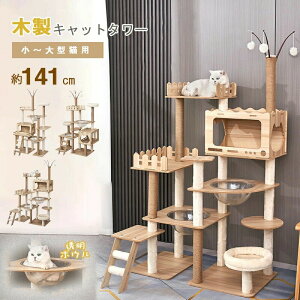 Lbg^[ L^[ ^Lp  v u X ˂ lR R ܂Ƃ|[ L̂ || ]|h~xgt W] Lxbh ^s 160/170/172cm