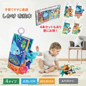  zG{ 4{Zbg Ԃ  d|G{ JVJV G{  o ł ObY xr[J[ m ߋ z  xr[ 킢 ǂԂ g Jt 