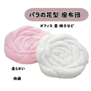 ỏԌ^ zc NbV `FApbh ItBX  ֎q ԗp n CeA v[gt@bV 