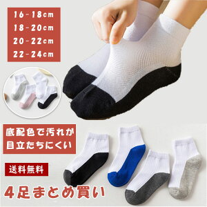 ő20 q C XN[\bNX 4Zbg LbY j̎q ̎q WjA \bNX V[g qpC V[g\bNX wZ wZ ʊw  X|[c ʋC z 4܂Ƃ