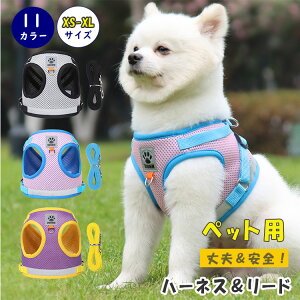 ő20 n[lX Lp [ht ^ ^ EFAn[lX   EȂ ɂ ꂵȂ bVf  ybgp hbOLbg xs s m l xl