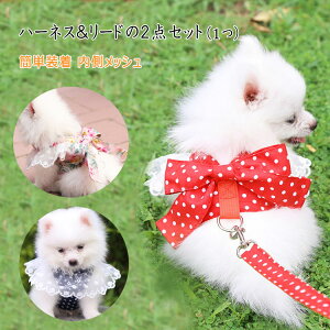 ő20 p n[lX [h 2_Zbg ^n[lX  }WbNe[v ȒPE ybgObY s m l xl 2xl 킢n[lX iXJ dJ ȒP bV ʋC ċz