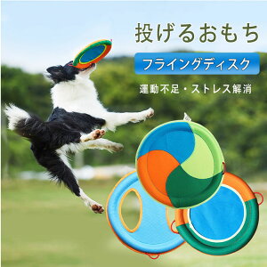 ő20tXr[ p tCOfBXN \tg v ނ 邨 ϐ Sց{zf Rt 􂦂 a23cm ^ ^ ybgp  ^sEXg