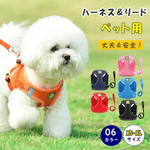 ő20L n[lX [ht bV xXg^ Ȃ _ubN ȒP  Lpn[lX  U o ybgp Lbg hbOp TCYok xs s m l xl