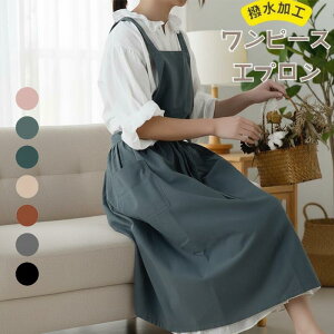 }\|Cg10{ S7F Gv l Gv eqyA 100 yAbN }`J[ s[X  킢 i` k mg[ O| }} a |